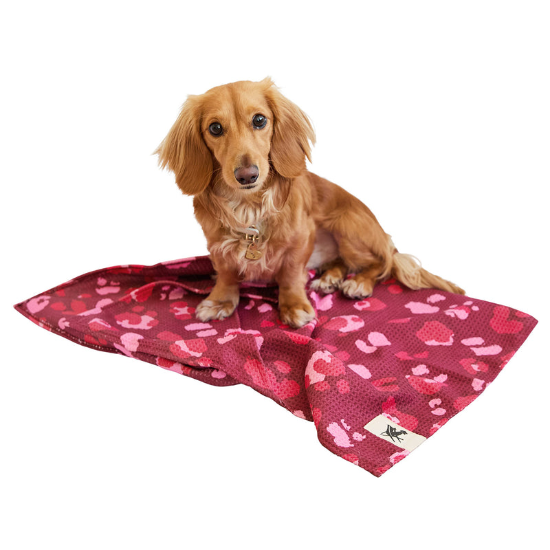 dock and bay towels dog