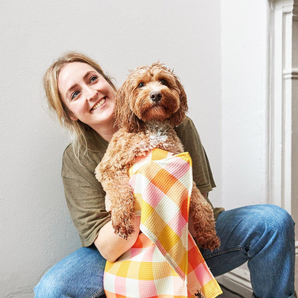 dock and bay towels dog