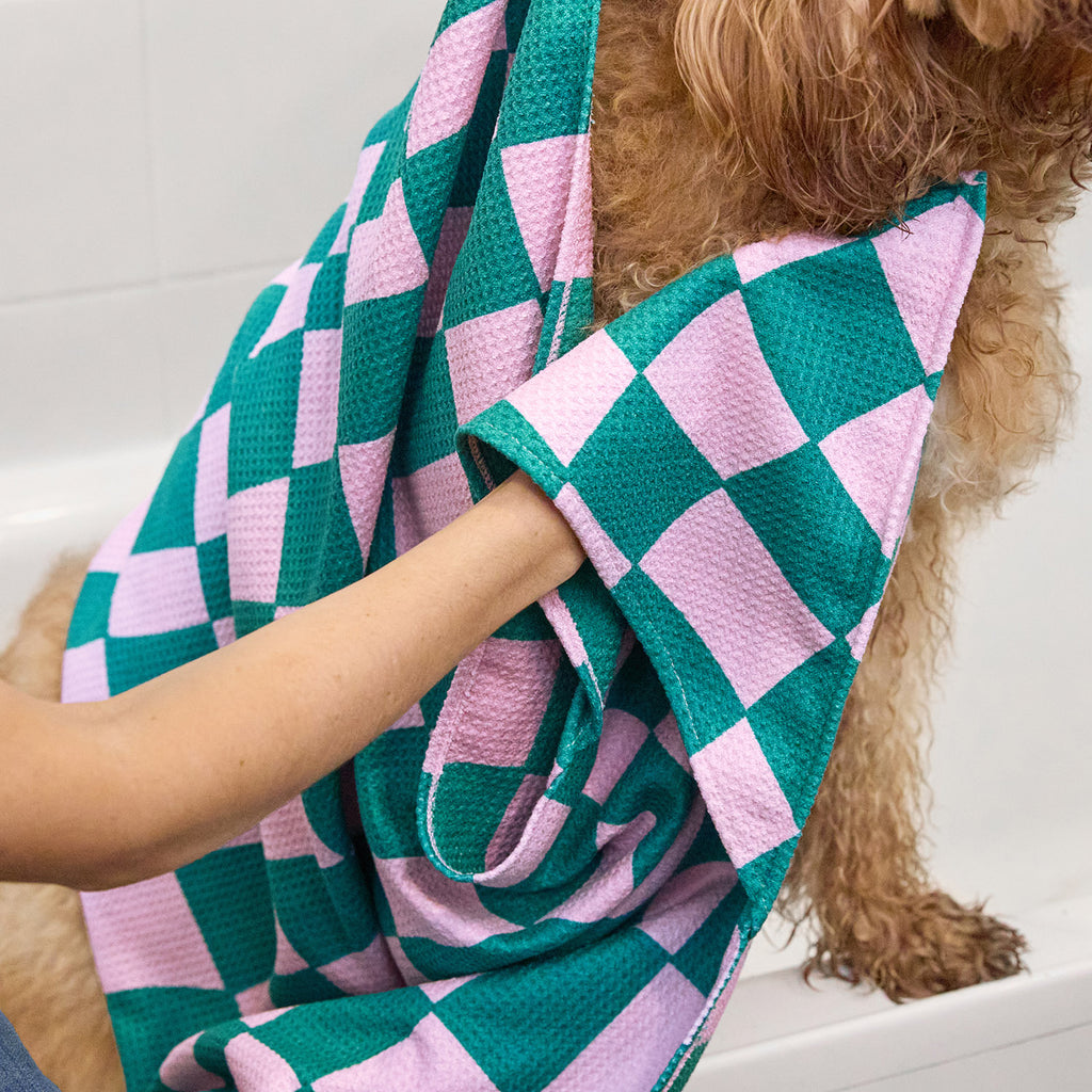 dock and bay towels dog