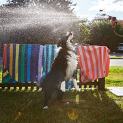 Dog & Bay - Towels for Pets - Puppy Party