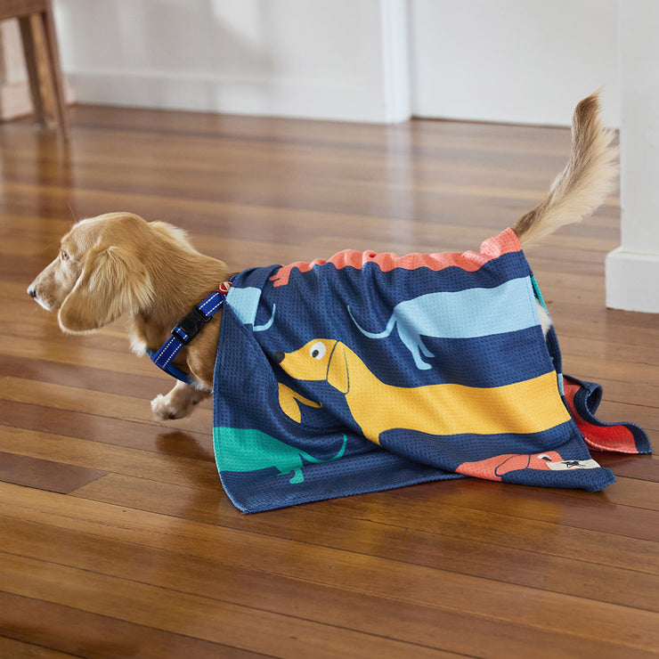 dock and bay towels dog