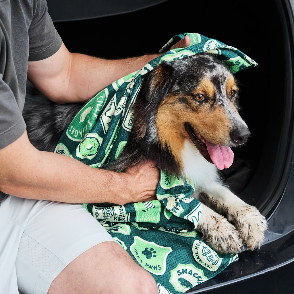dock and bay towels dog