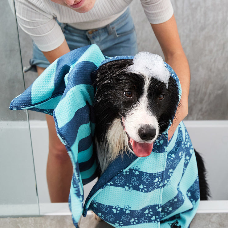 dock and bay dog towels