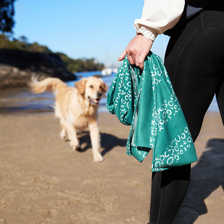 dock and bay dog towels