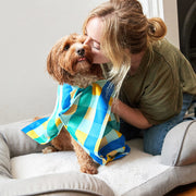 dock and bay dog towels