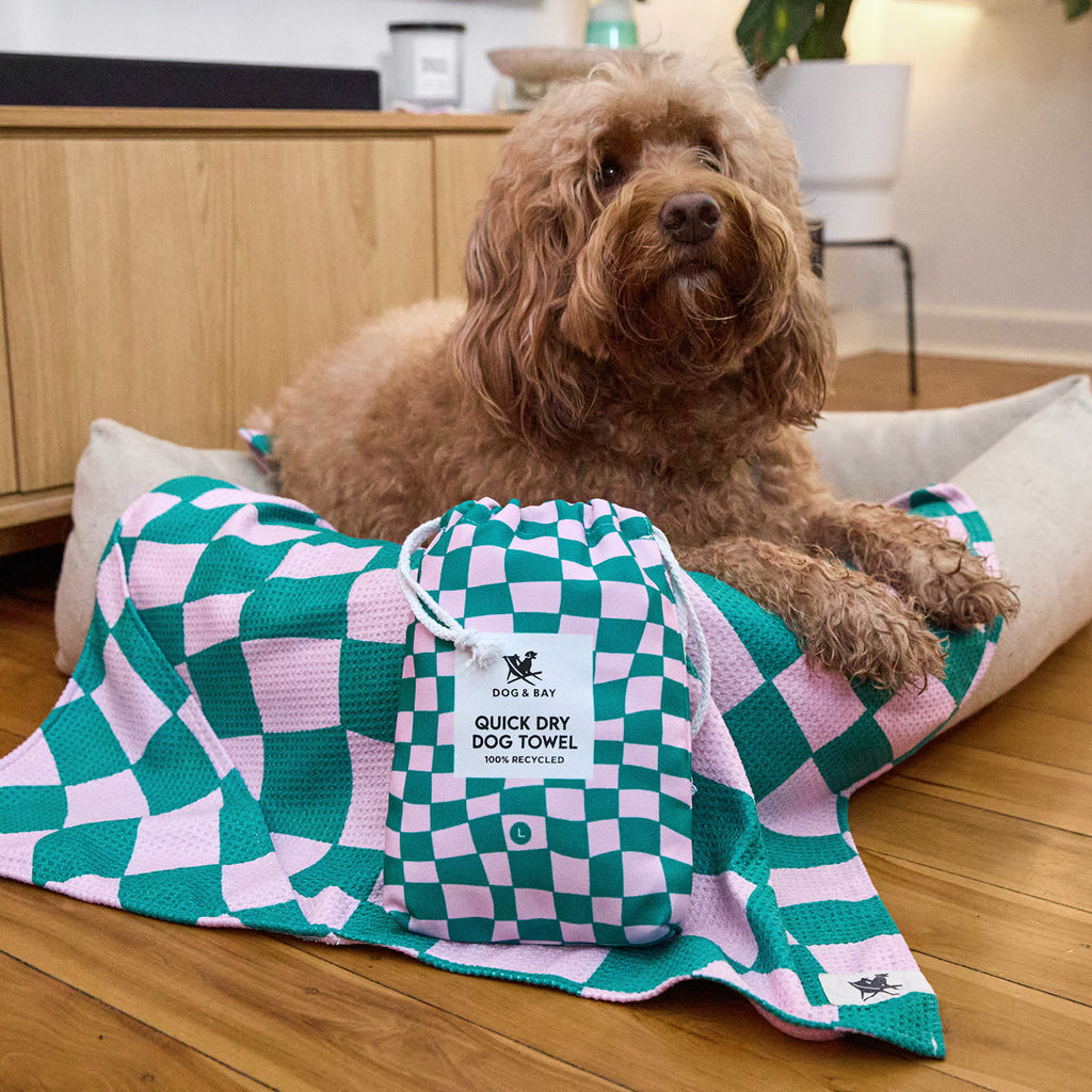 dock and bay towels dog