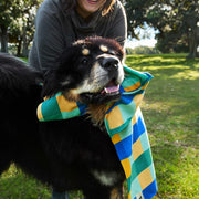 dock and bay dog towels