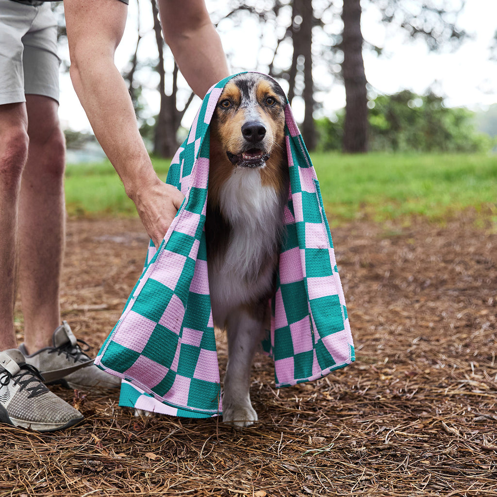 dock and bay towels dog